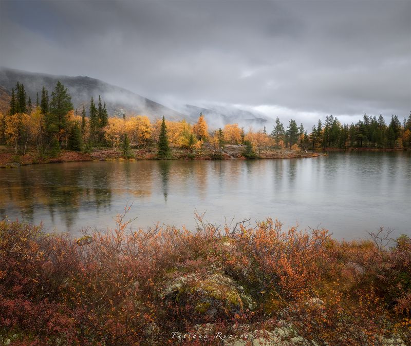 Звуки дождяphoto preview