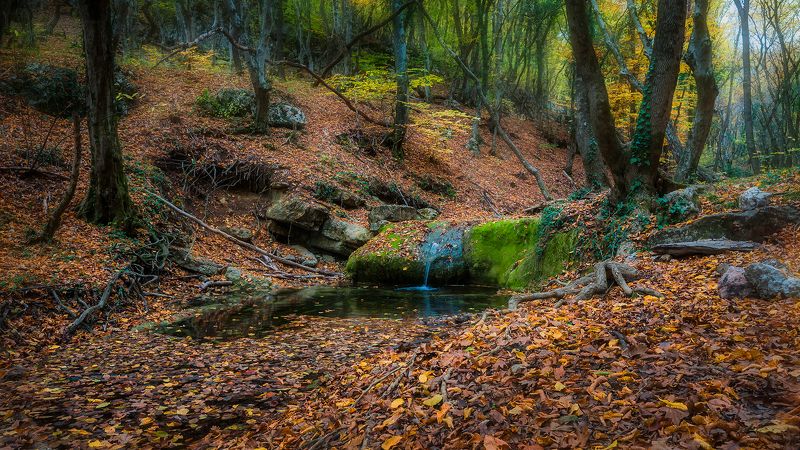 Этюдphoto preview