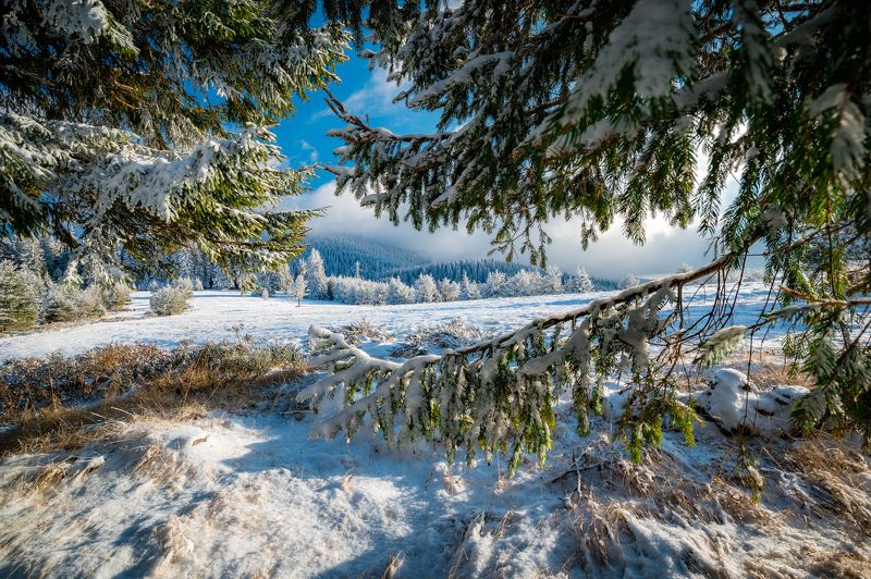 Winter in the mountainphoto preview