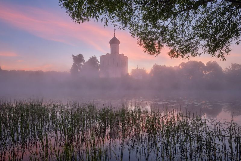 утро, рассвет, туман, лето, покрова на нерли, храм, архитектура, пруд Июньский рассвет у Покрова на Нерли. фото превью