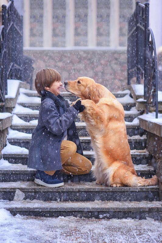 Прогулка с лучшим другомphoto preview