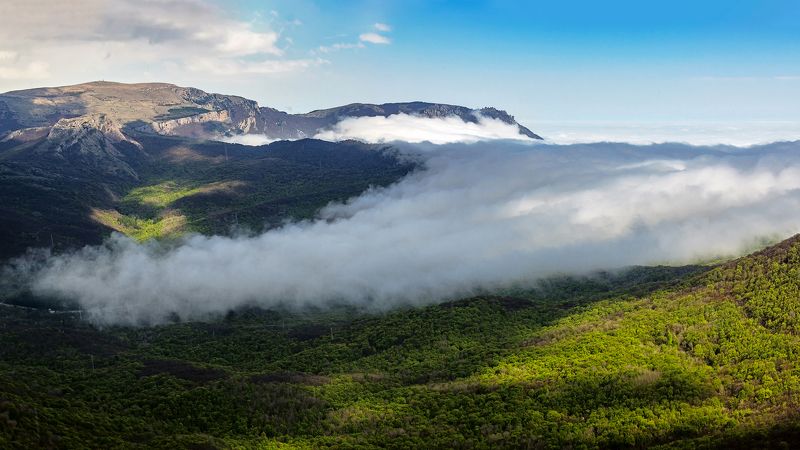 крым, чатыр-даг, туман, весна Чатыр-Даг фото превью