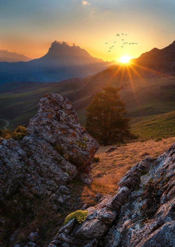 Цей-Лоамphoto preview