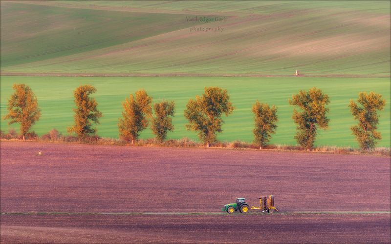 южная моравия,пейзаж,hils,линии,полевые работы,south moravian,lines,свет,czech,осень,чехия,трактор,landscapes. // ИСКАНДЕР // фото превью