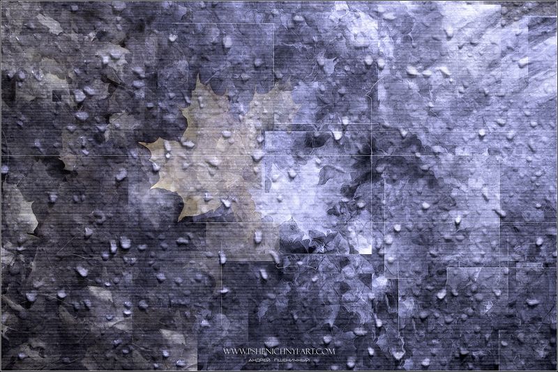 осень, кленовые листья, октябрь, дождь, капли воды, опавшая листва, минимализм, абстракция Осенние листья фото превью