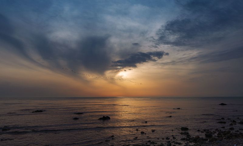 Пора домойphoto preview