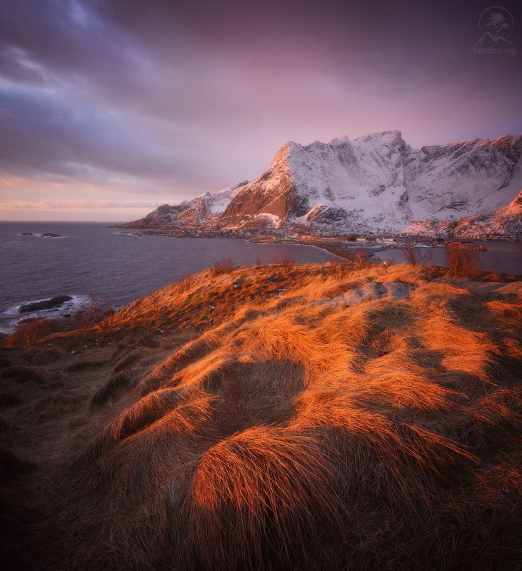 лофотены, olenilsøya, норвегия Одно утро на Olenilsøya фото превью