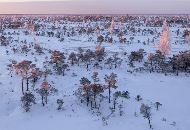 Утро на болоте. Мартphoto preview