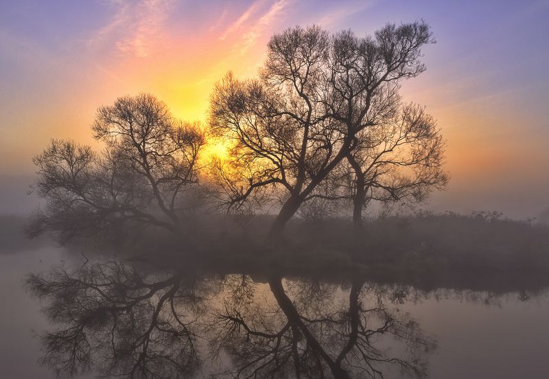 рассвет, туман, свислочь Рассвет на старикеphoto preview