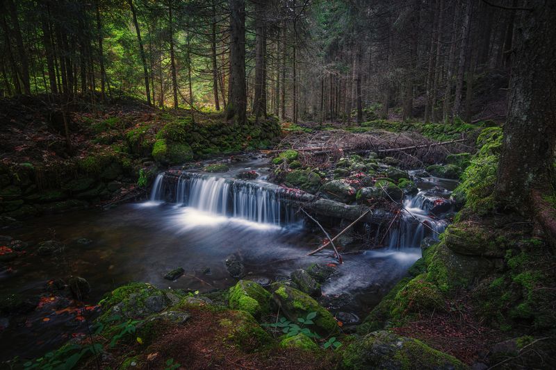 горизонтальный,  нет людей,  фотография,  город,  на улице,  отражение, горизонт,  вода,  сумерки,  река,  панорамный,  пейзаж,  знаменитое место,  небо,  сумерки,  набережная,  туристические направления,  путешествовать, Старый лесphoto preview