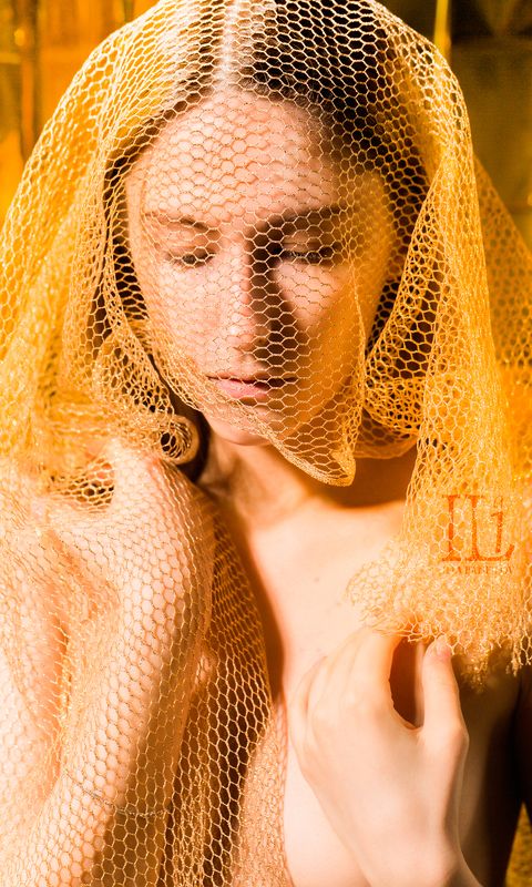 золото, потрет, соты Медово-золотаяphoto preview