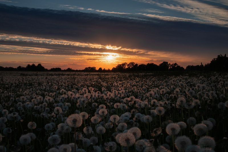 Летний вечер фото превью