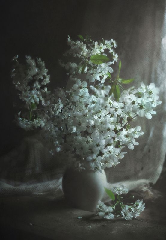 Лунная ночьphoto preview