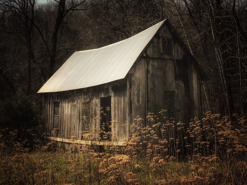 cabin, old, rustic, dilapidated Lonely Cabinphoto preview