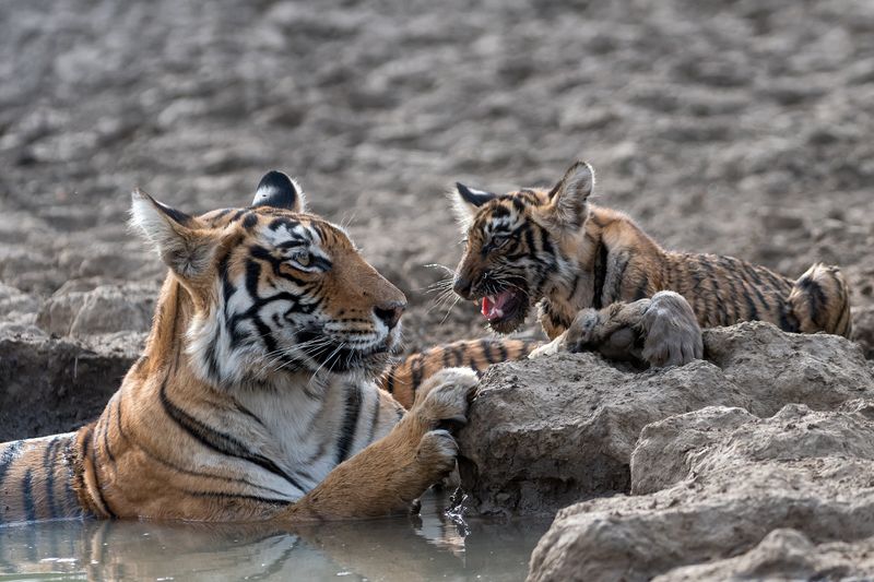 Поговорить с мамойphoto preview