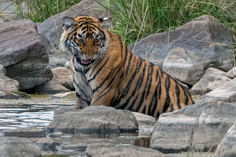 Какой я красавец!photo preview