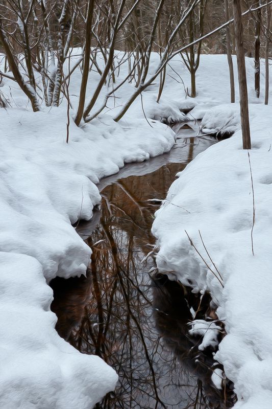 ручей,зима,лес, снег Лесной ручей фото превью