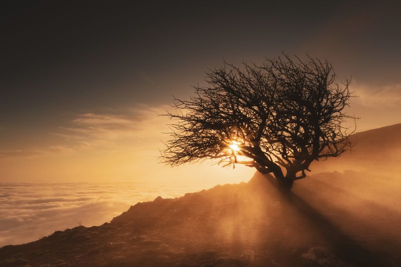 Туманный закат на Ильяс-Каяphoto preview