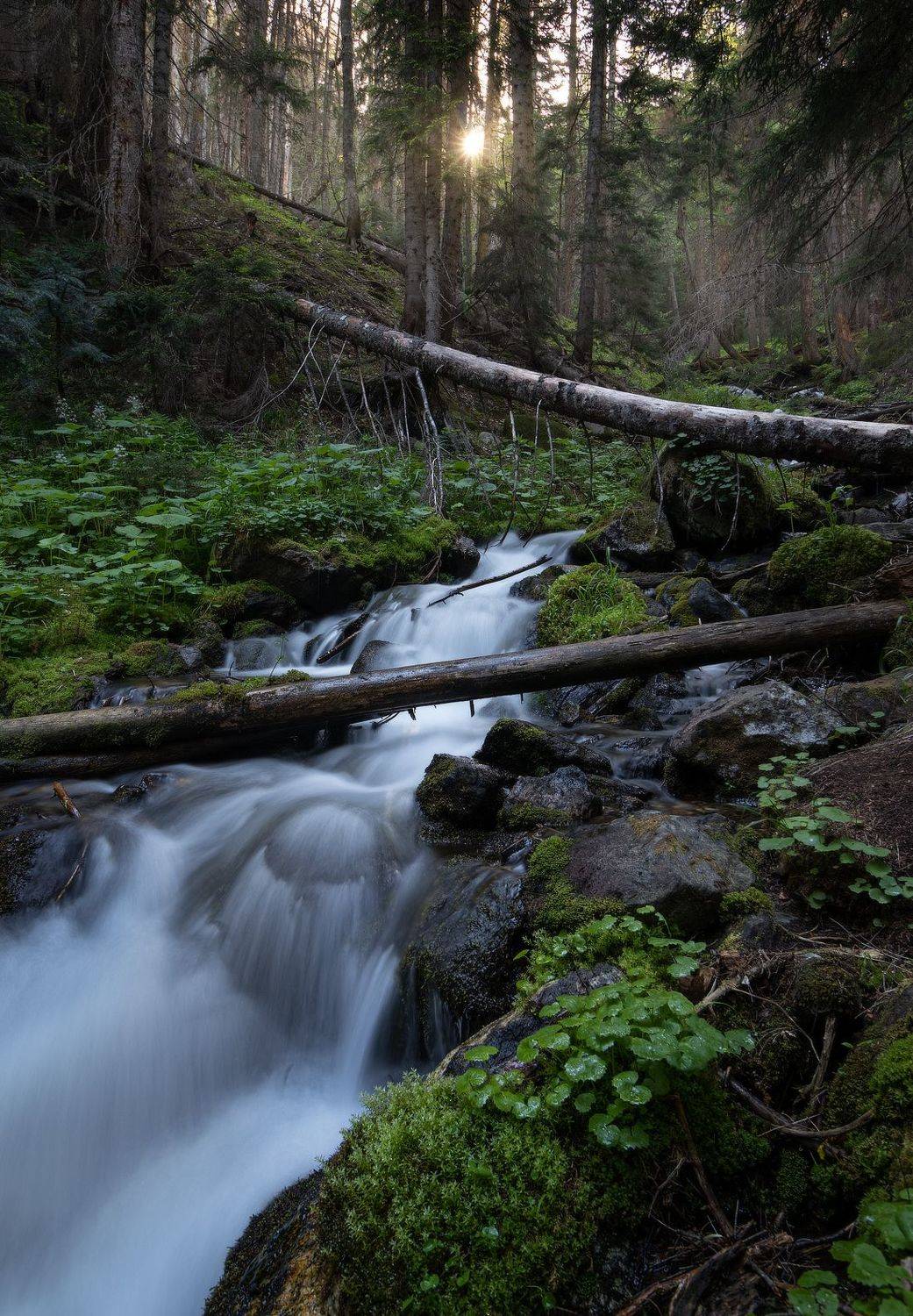 , Михаил Гапонов