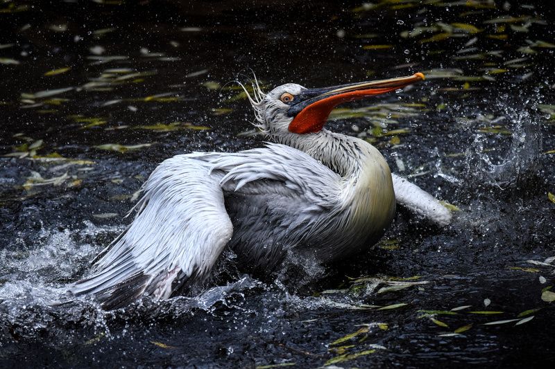 На взлетphoto preview