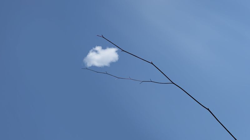 Catching The Cloudphoto preview