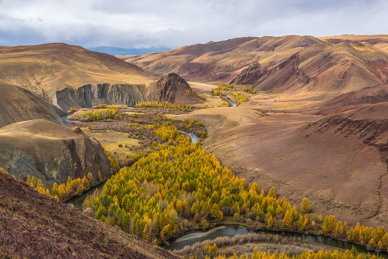 алтай, осень, кызыл шин, Кызыл-Шин. Алтай.photo preview