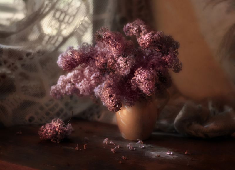 Вечер с сиреньюphoto preview