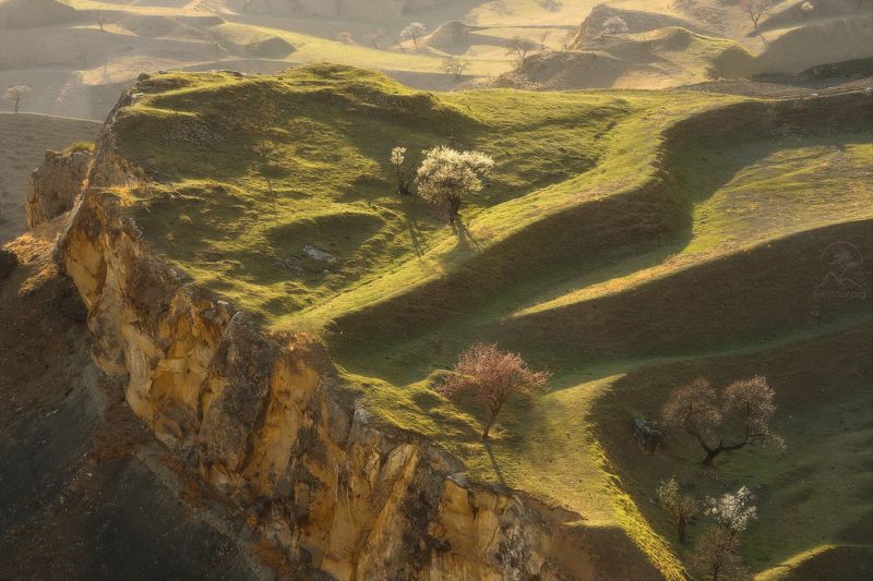 дагестан, террасы, чох, кавказ, фототур на майские праздники, дагестан на майские праздники, деревья, холмы, фототур в дагестан, дагестанские террасы, гунибский район Весенняя пораphoto preview