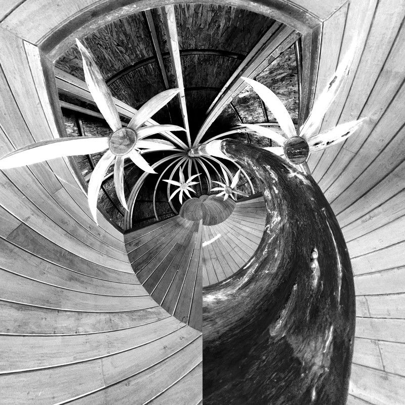 funny camel, abstract, b&w, concept, abstraction Funny camelphoto preview