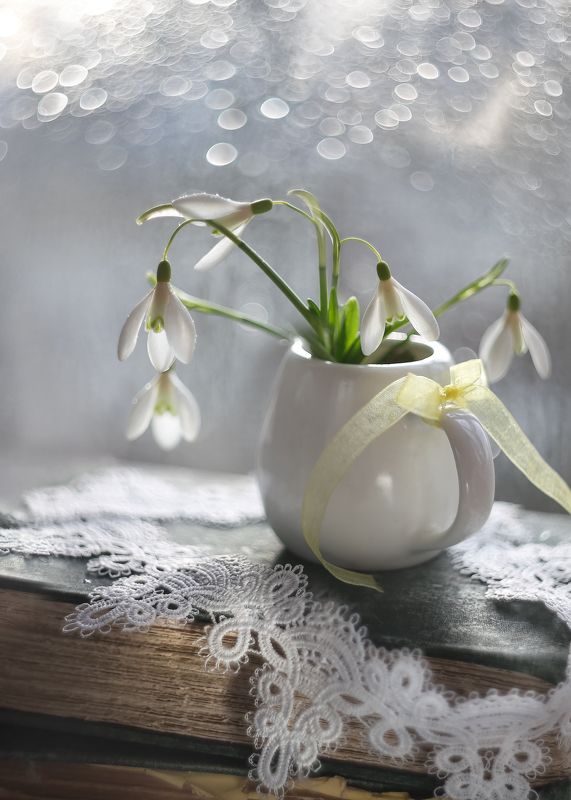 подснежники, весна, мартовское,книга,нежность Как подснежник душа расцветает.. фото превью