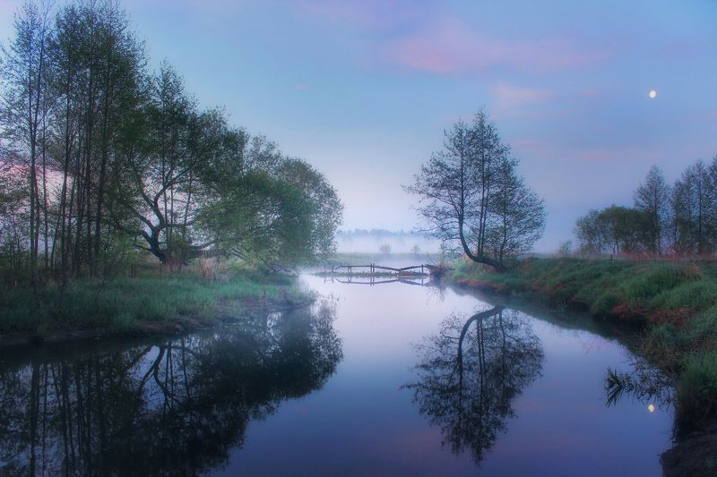 ********photo preview