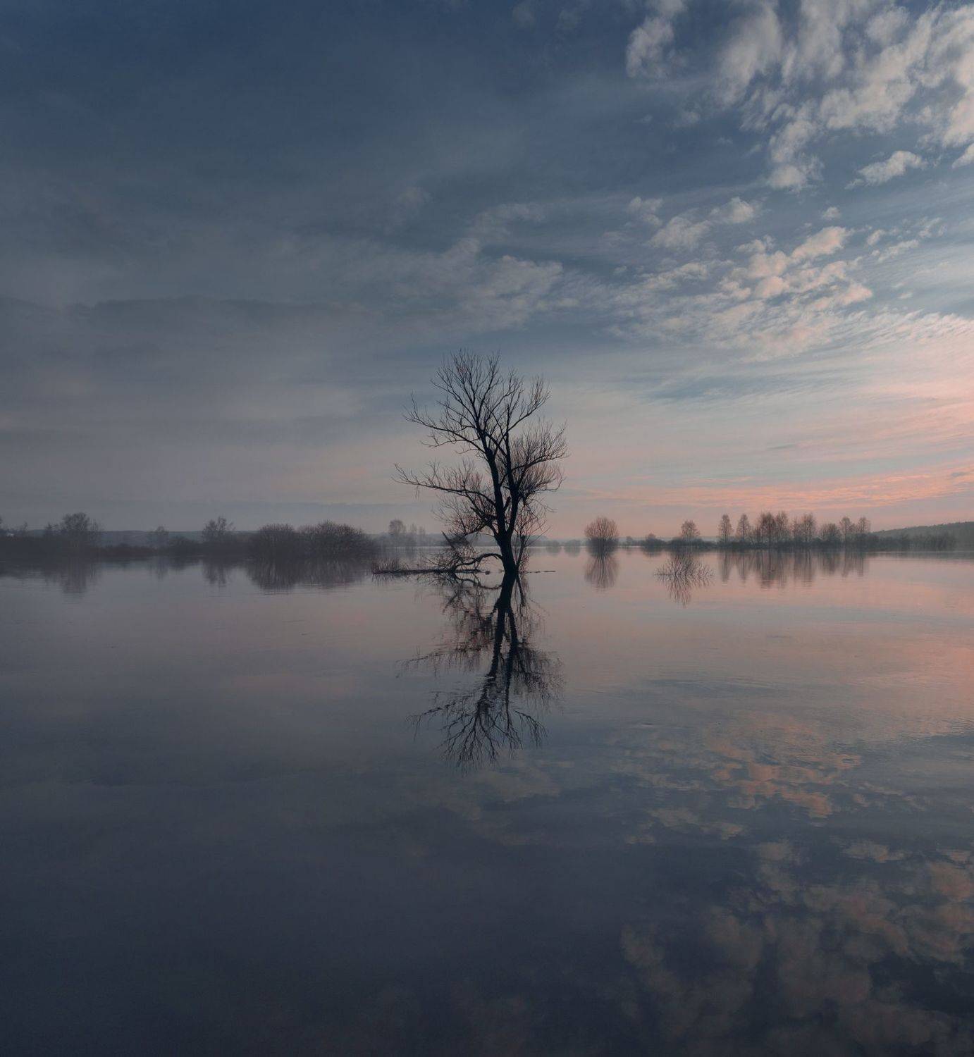 март, свет, утро, природа, река, разлив, тульская обл., Баранов Олег