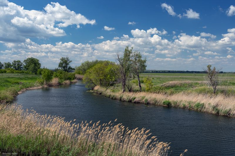 оренбургская область, весна, природа, река сухая губерля Сухая Губерляphoto preview
