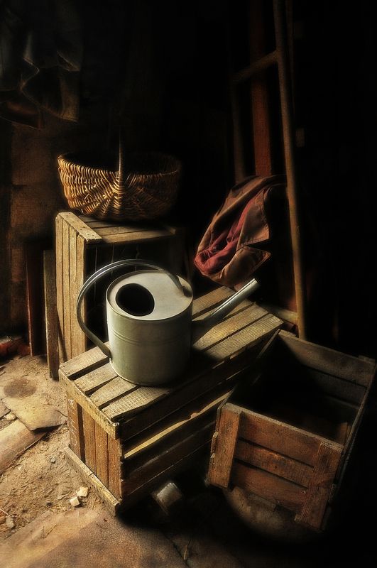 Весенний зовphoto preview