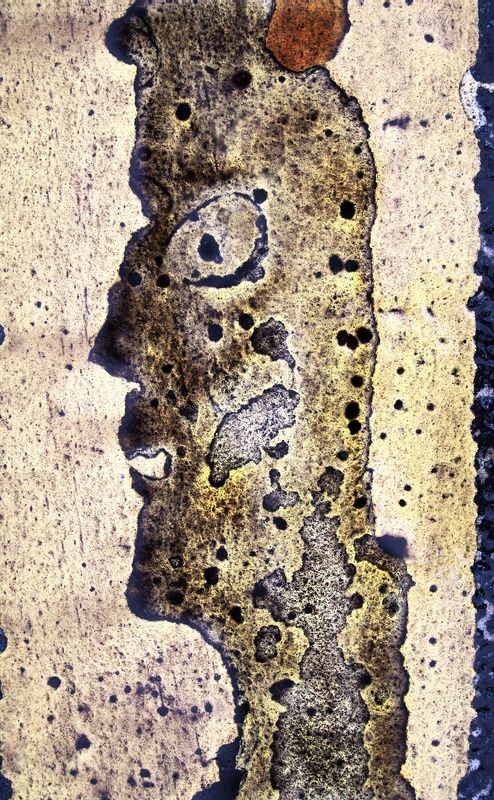 pareidolia Засланец из космоса )photo preview