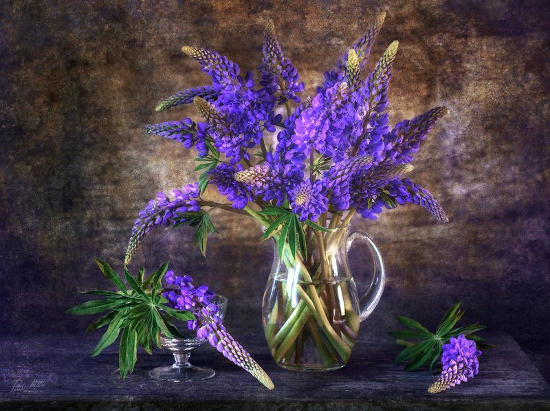 люпин лето ///photo preview