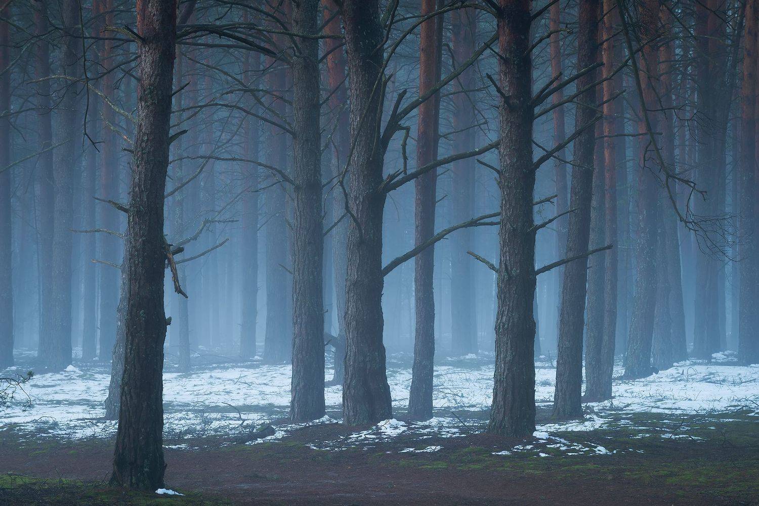 , Захаров Дмитрий