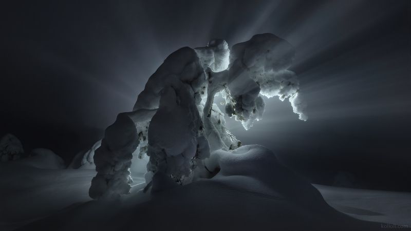 кандалакша, ночь, зима, заснеженные деревья, сопка, подсветка фонариком Нечтоphoto preview