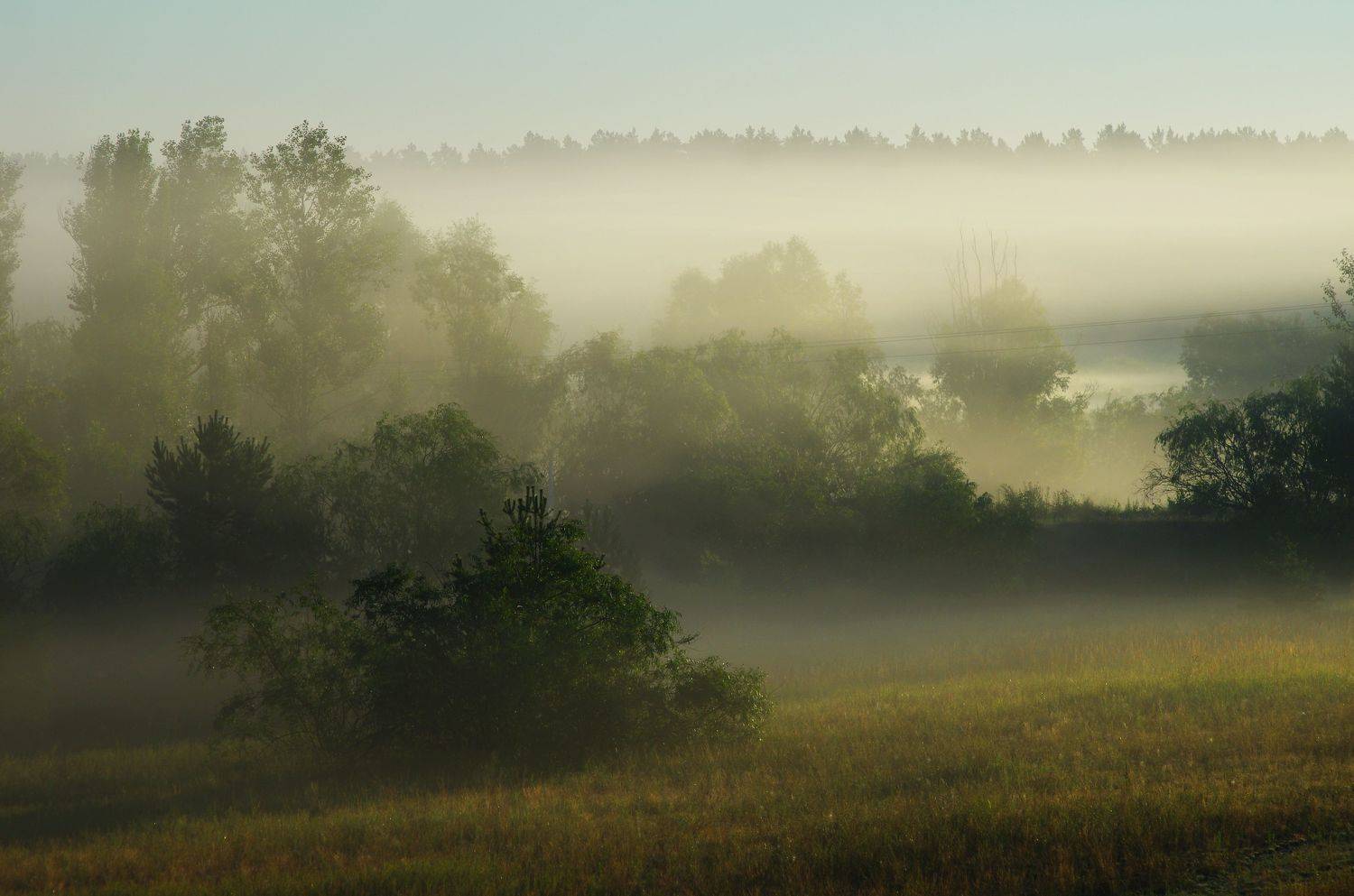 , Сергей Шляга