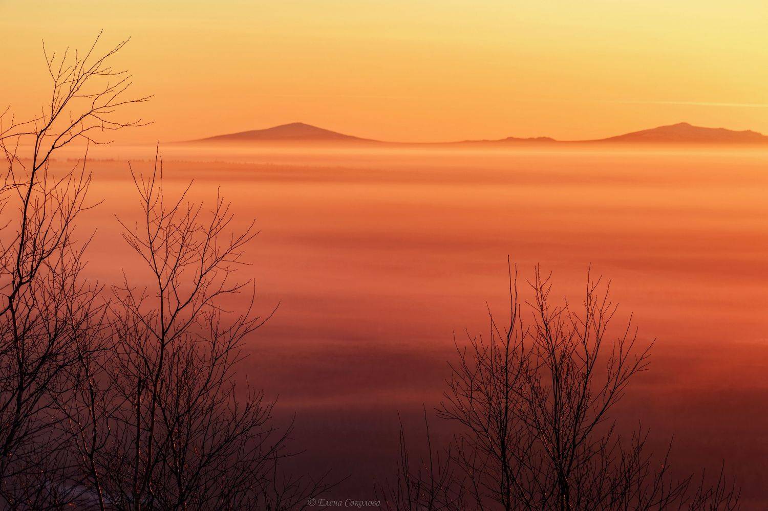 рассвет, утро, восход солнца, туман, горы, басеги, крестовая, губаха, пермский край, весна, Соколова Елена