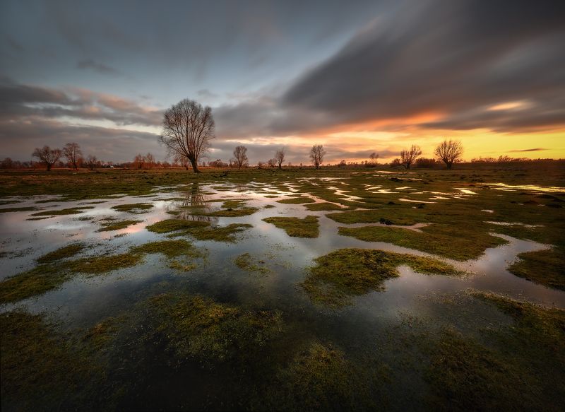 Wiosenne roztopyphoto preview