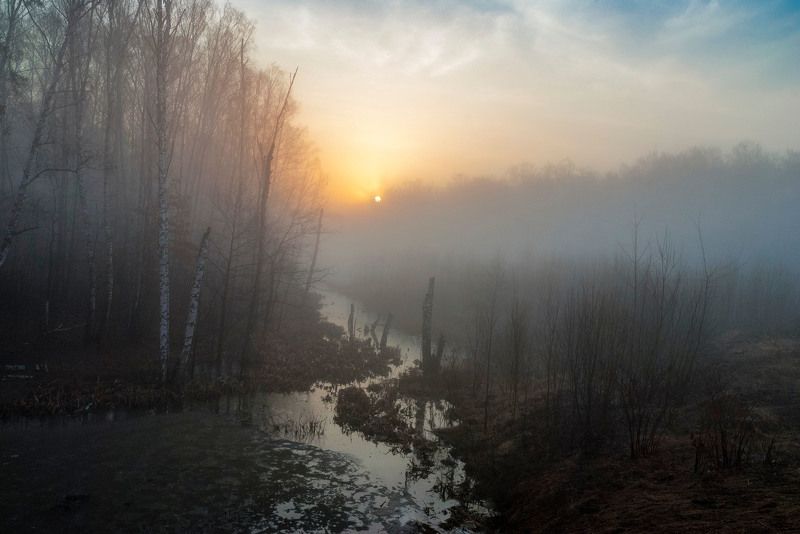 Веснаphoto preview