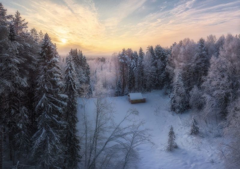 Домик в лесуphoto preview