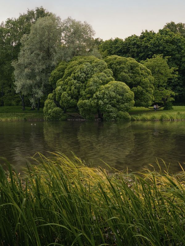 москва, пруд, останкино, вднх Первый Каменский прудphoto preview