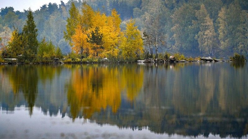 Цвета уходящей осениphoto preview