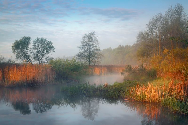 ********photo preview