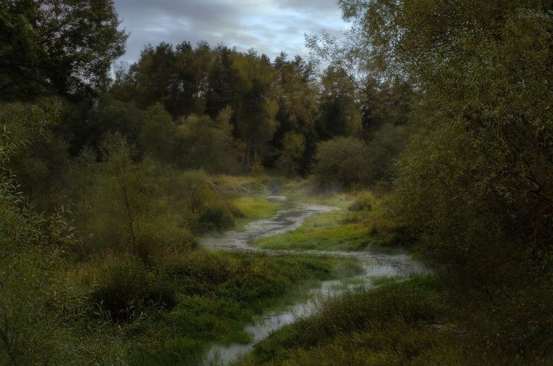 Лесной ручейphoto preview