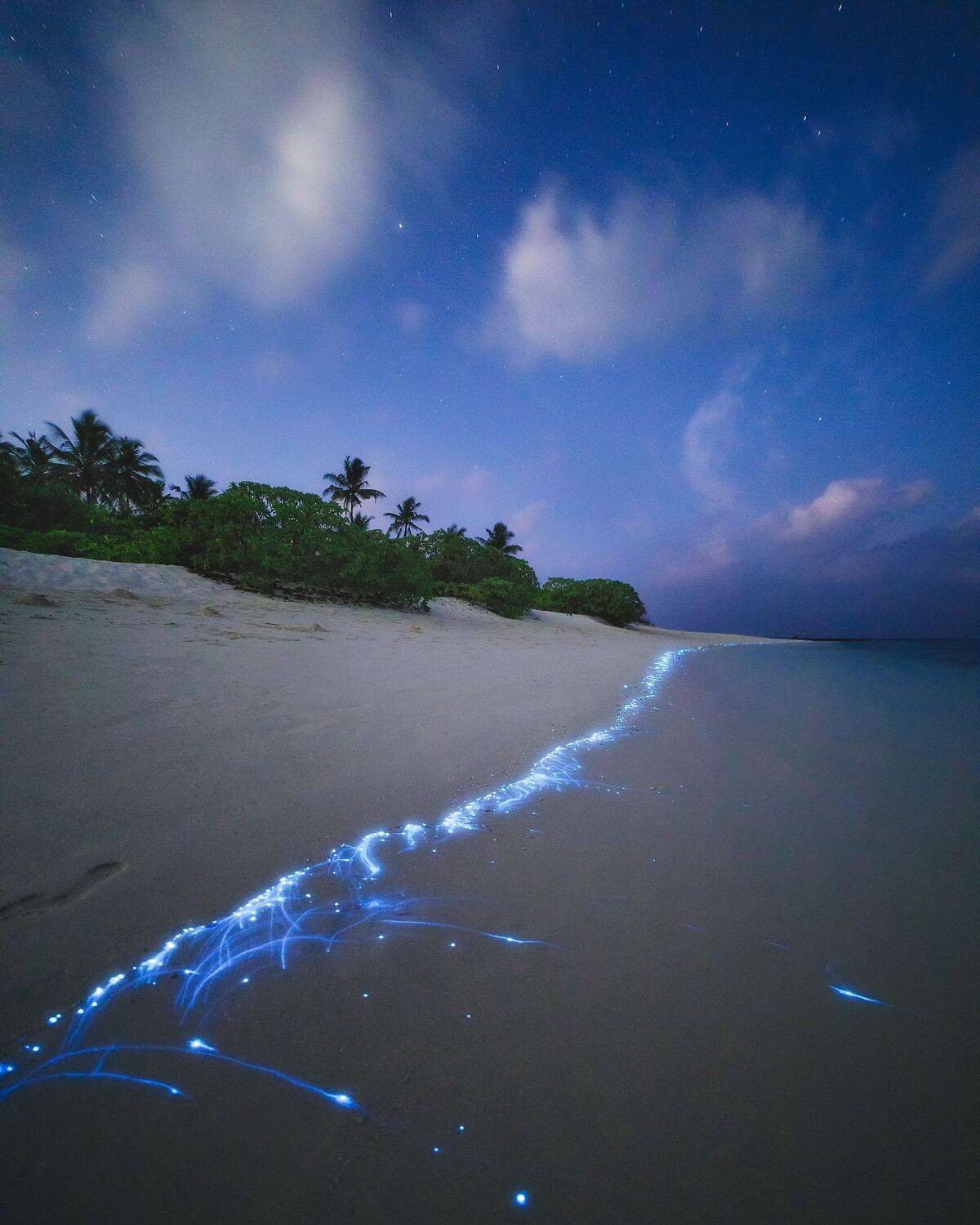 Звёзды на небе и в океане. Автор: Чаланов Иван мальдивы, атолл, планктон, plankton,тропики, пейзаж, природа, maldives, atoll, tropics, landscape, nature, nightscape, starrynight, ночь, звёзды, Чаланов Иван