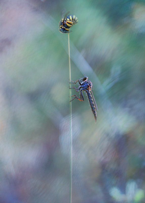 Ранним утром.photo preview