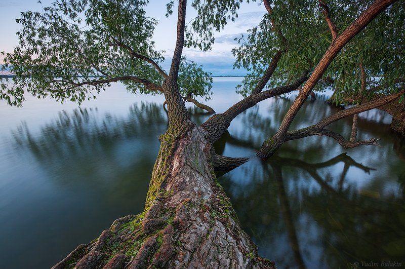 Дерево, Озеро, Пейзаж, Южный урал Озеро Куяшphoto preview